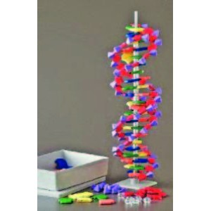 Molymod Mini DNA/RNA Models